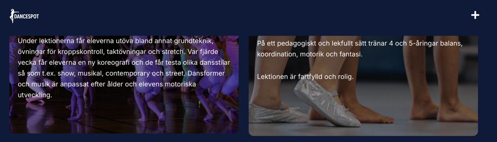 Skärmdump av dancespotystad.se